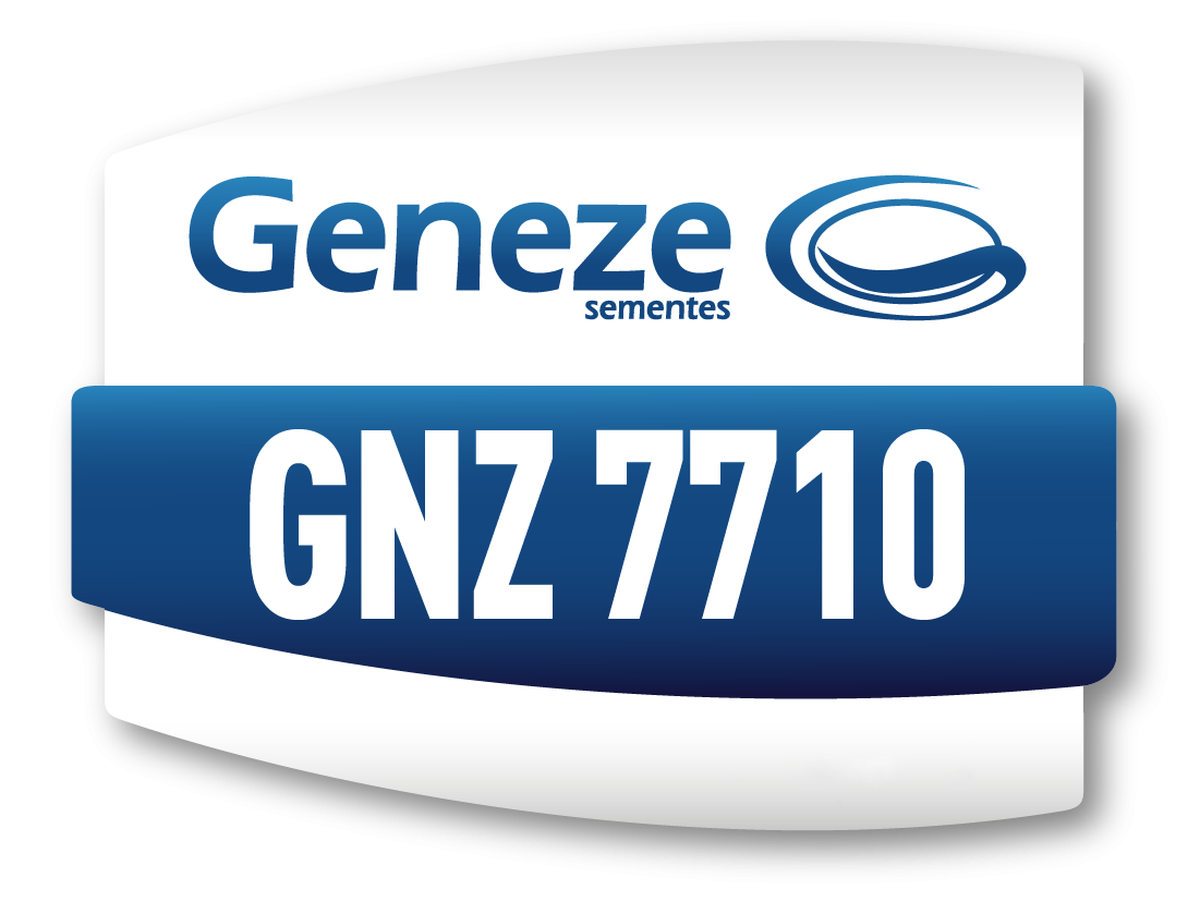 GNZ 7710