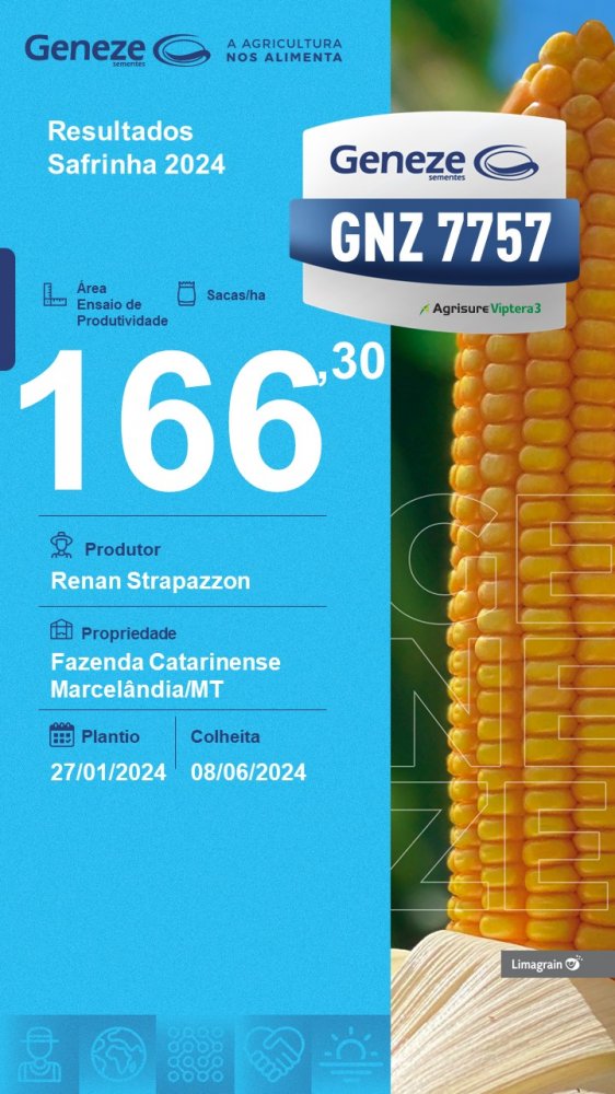 produtividade-gnz-7757