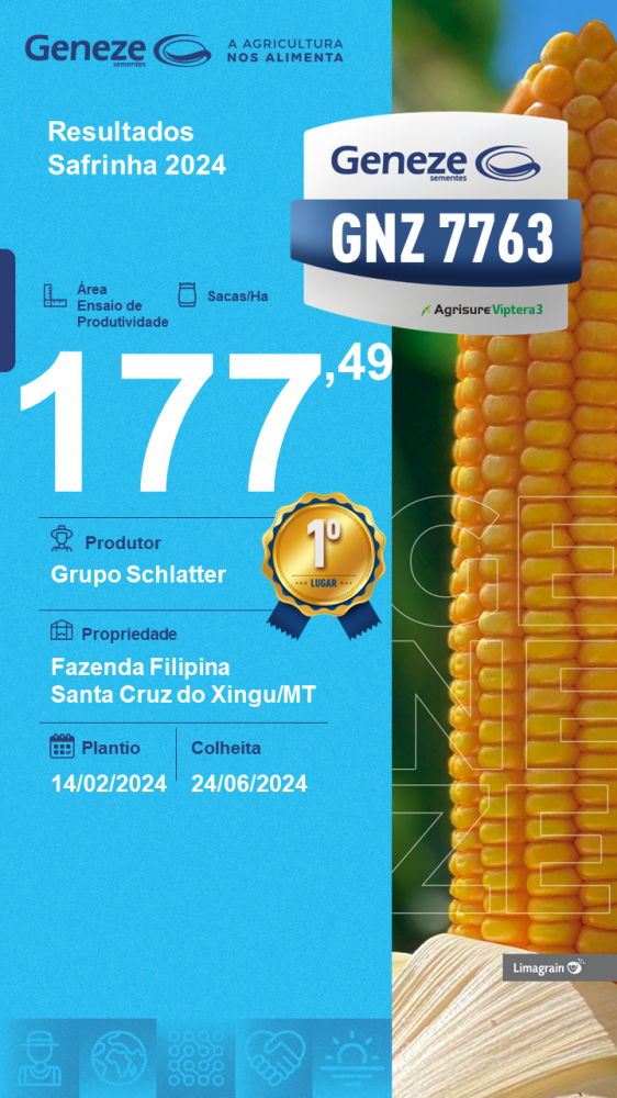 resultado-de-produtividade-gnz-7763