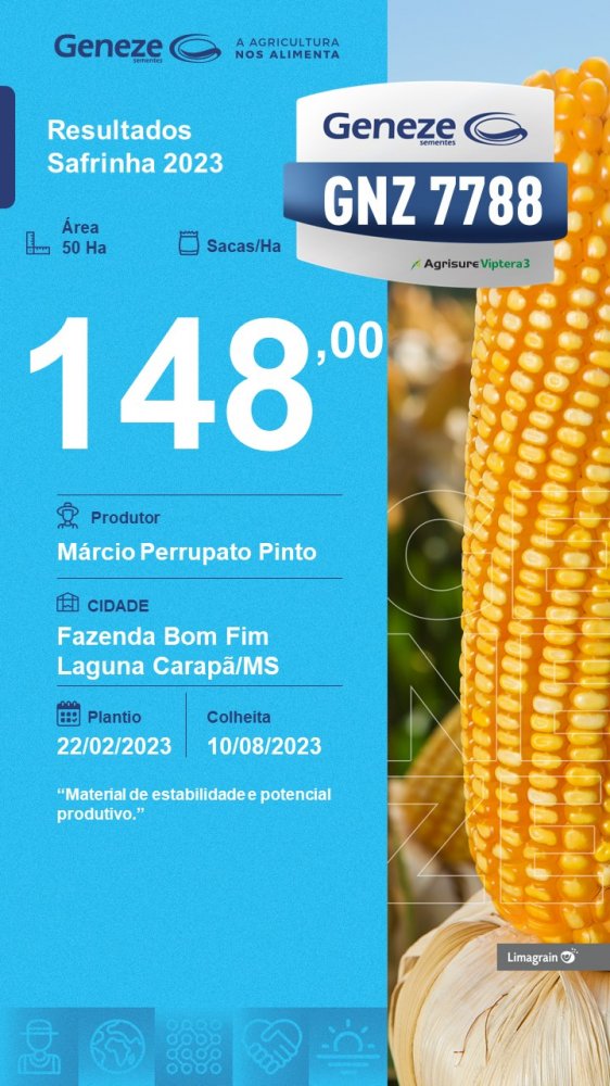 resultado-de-produtividade-gnz-7788