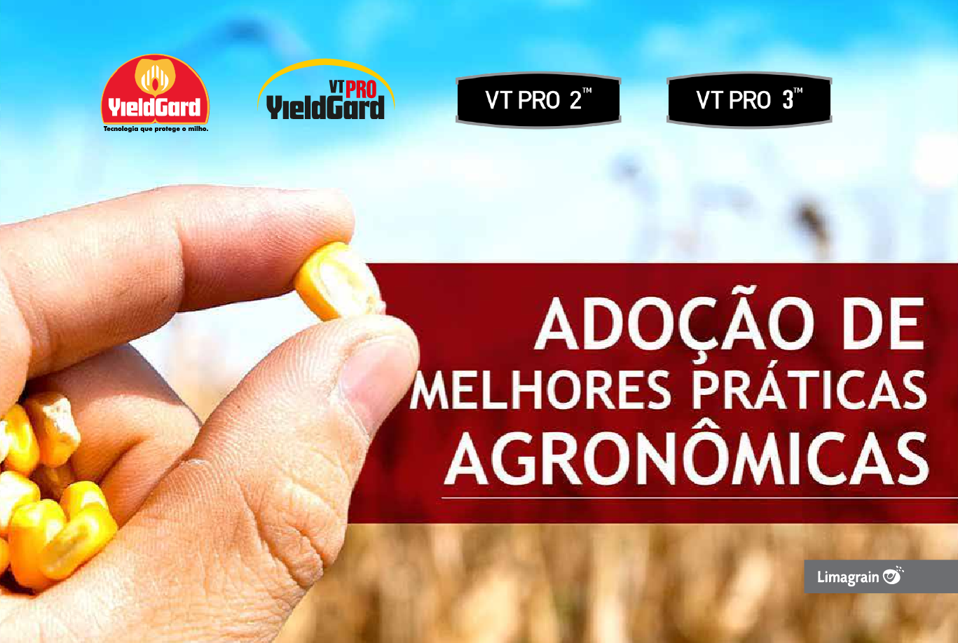 Adopción de Mejores Prácticas Agronómicas