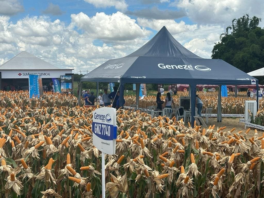 noticia-safratec-2024-geneze-sementes