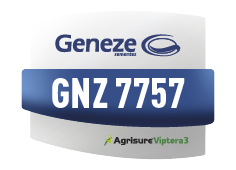 GNZ 7757VIP3
