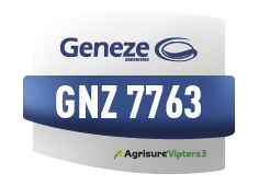 GNZ 7763VIP3